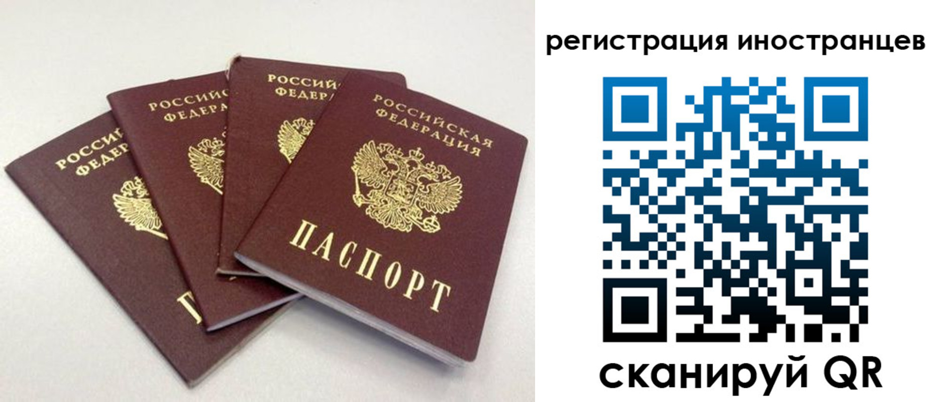 временная регистрация для школы в Алтайском крае